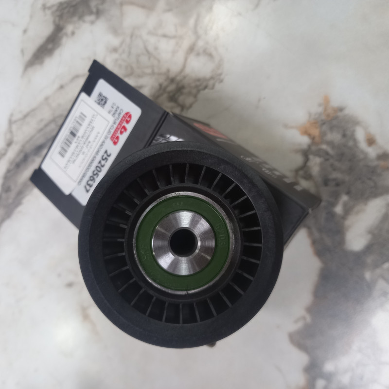 Renault Captur Alternatör Gergi Rulmanı 1.2 1.4 TCe 119230001R-119238274R